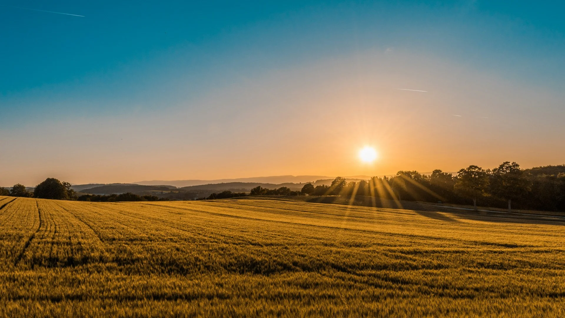 Australian countryside